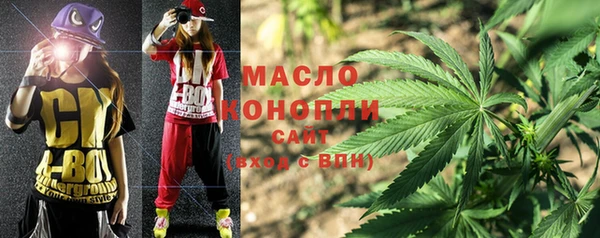твердый Медногорск
