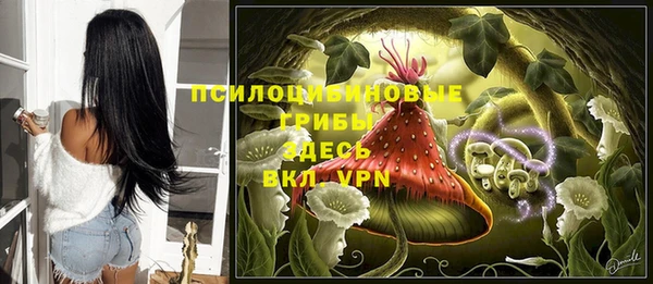 кокс Медвежьегорск
